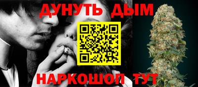 гидра Камышлов