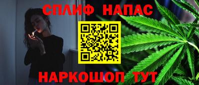 гидра Камышлов