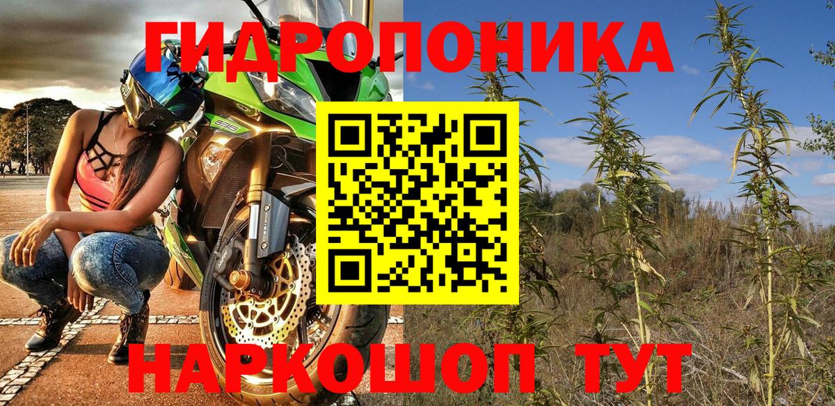 Бошки марихуана SATIVA & INDICA Кстово